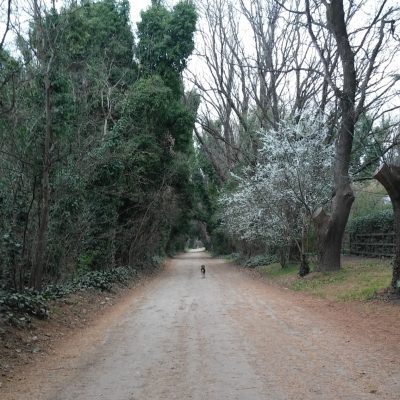 Las caminatas por las calles de Villa Ventana son inolvidables