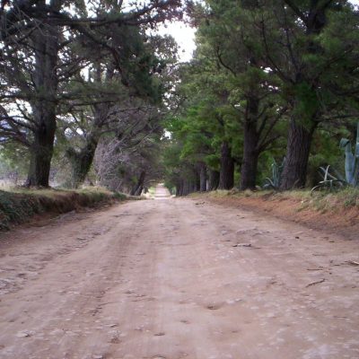 Nada más sano que hacer largas caminatas por las hermosas y a veces empinadas calles de Villa Ventana